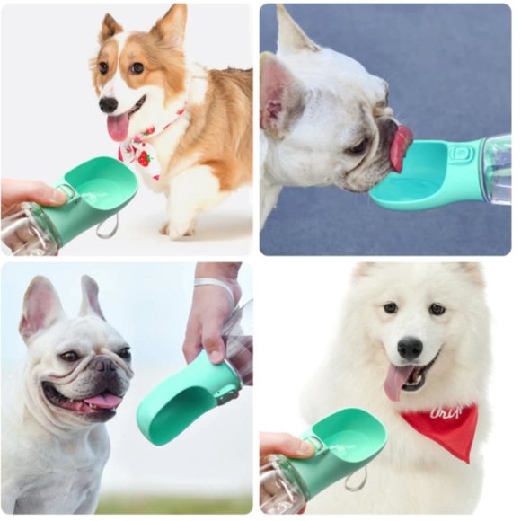 Pet-ya! Dog Cat Water Bottle Travel Portable On the Go Drinking Bottle - Picture 1 of 3